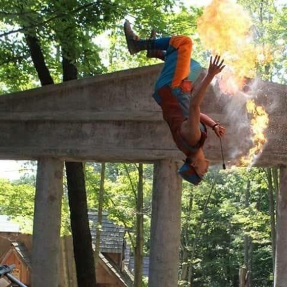 Meet your Posher, Brady - Picture 1 of 1